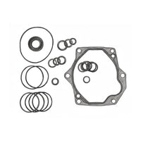 Replacement Cylinders & Seal Kits for ASV/Terex