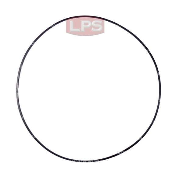 LPS Cam Ring Seal for Replacement on Case® Compact Track Loaders