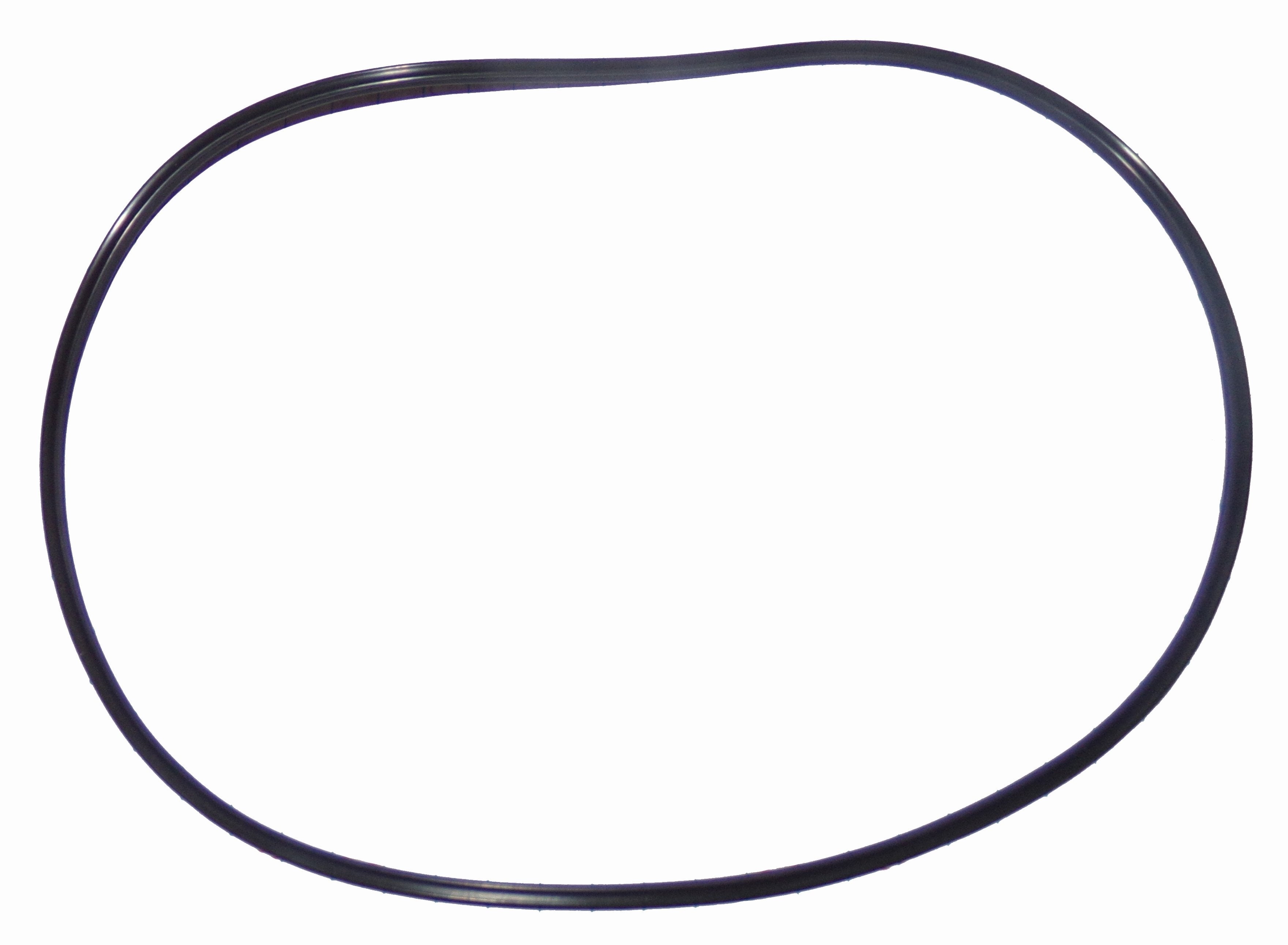 Quad Ring for the Drive Motor to replace Gehl OEM 50280139