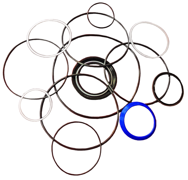 LPS Drive Motor Seal Kit w/ Teflon Seals  to Replace Case® OEM 240899A1