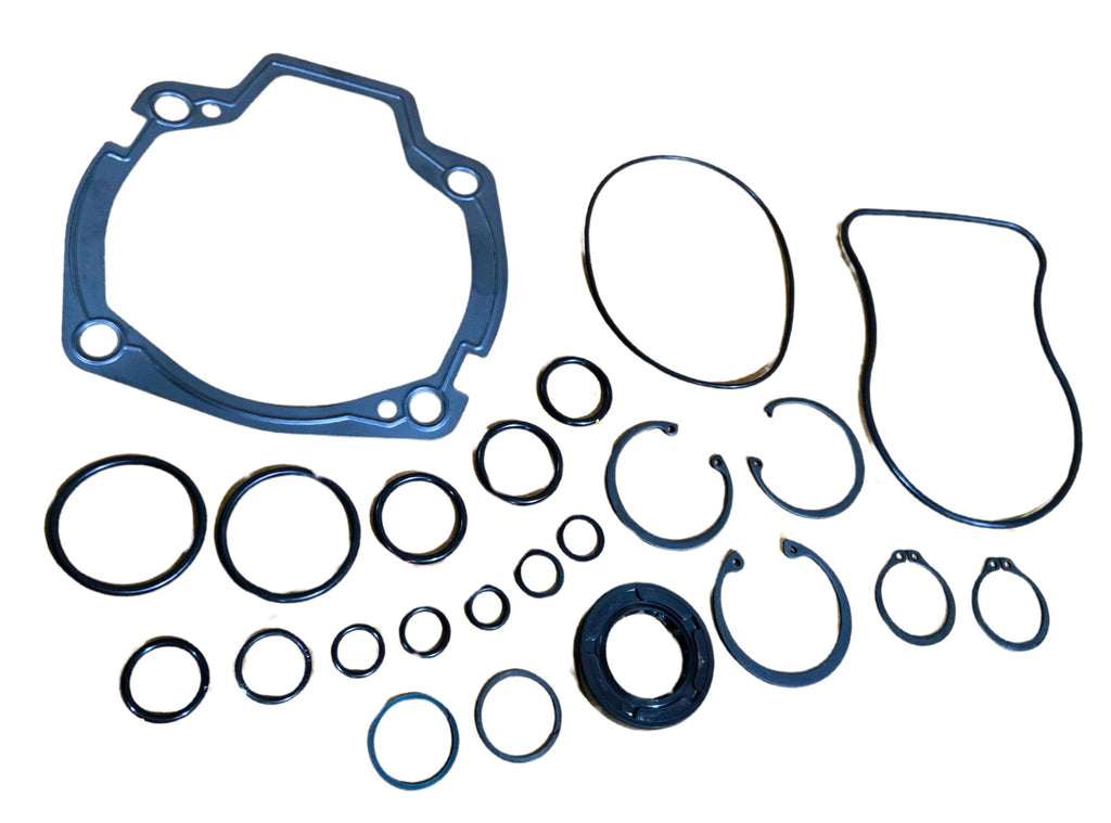 LPS Drive Pump Seal Kit to Replace Case® OEM D73636