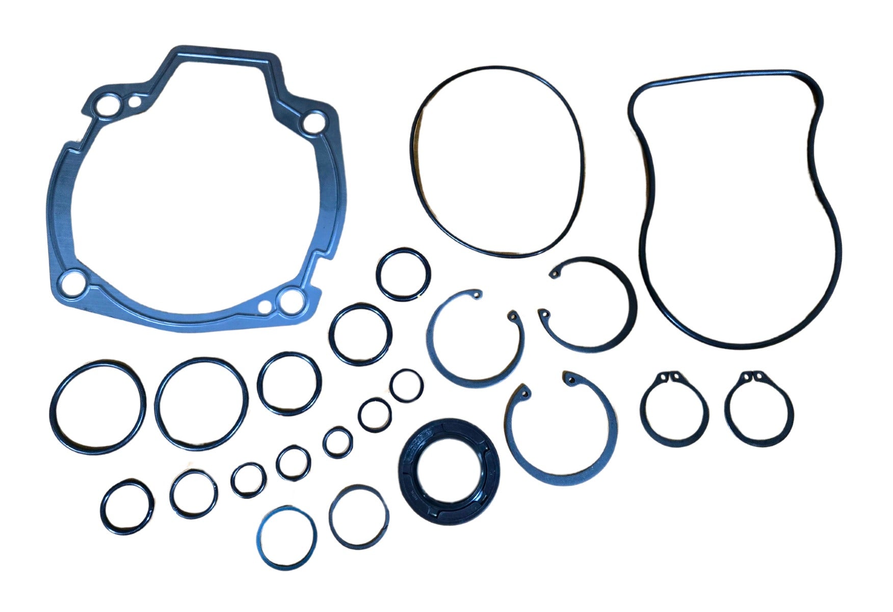 LPS Drive Pump Seal Kit to Replace Case® OEM D73636