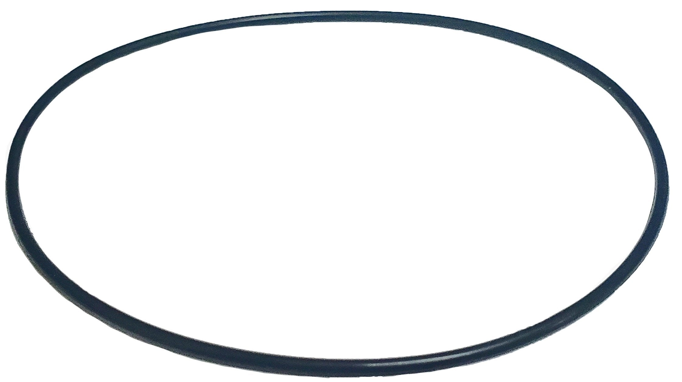 LPS O-Ring for Piston Pump to Replace Case/New Holland® OEM 272310