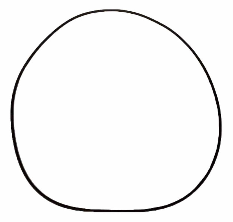 LPS Drive Motor O-ring to Replace John Deere® OEM T282124