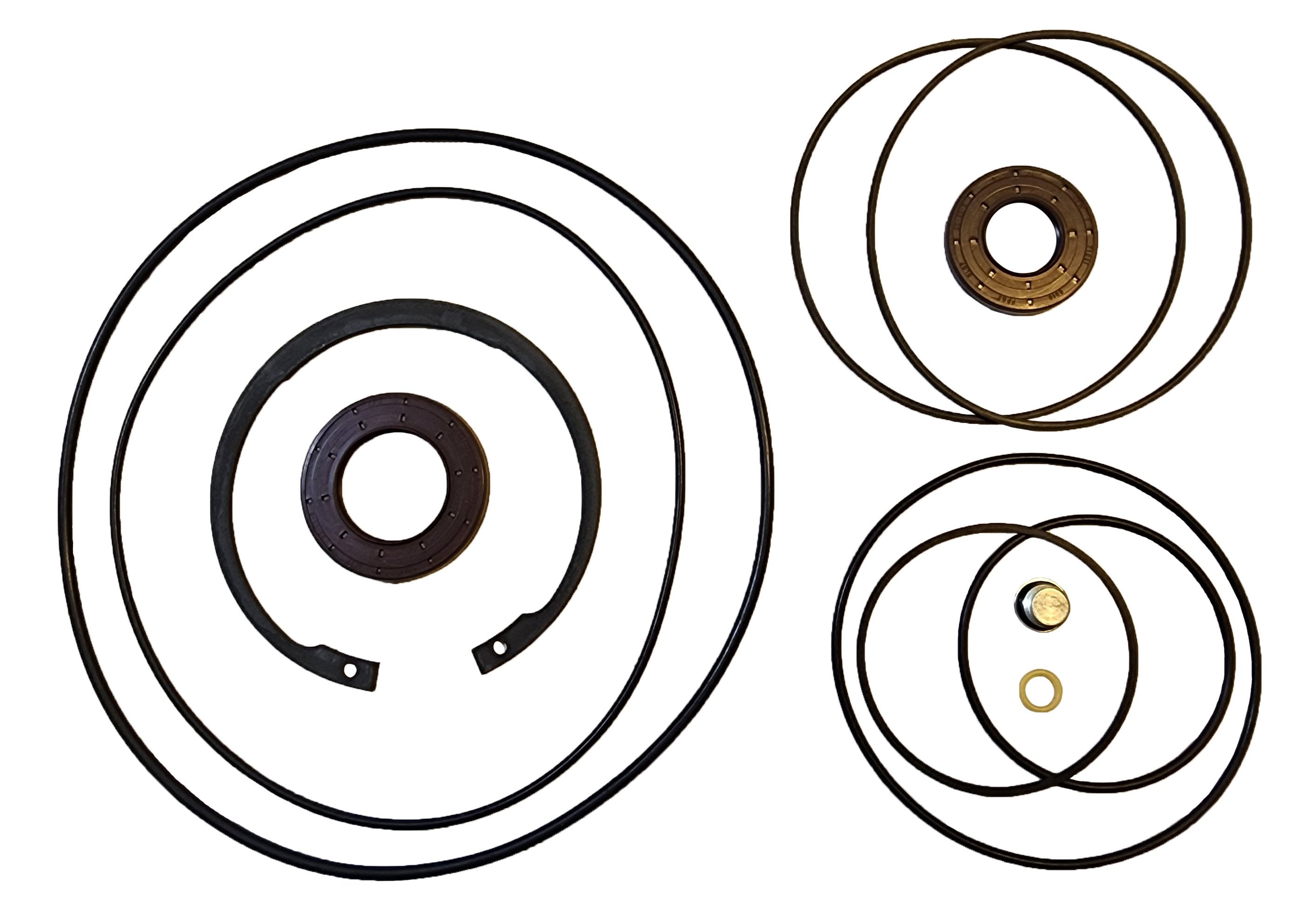 LPS Seal Kit for the Drive Motor to Replace Cat® OEM 455-7977