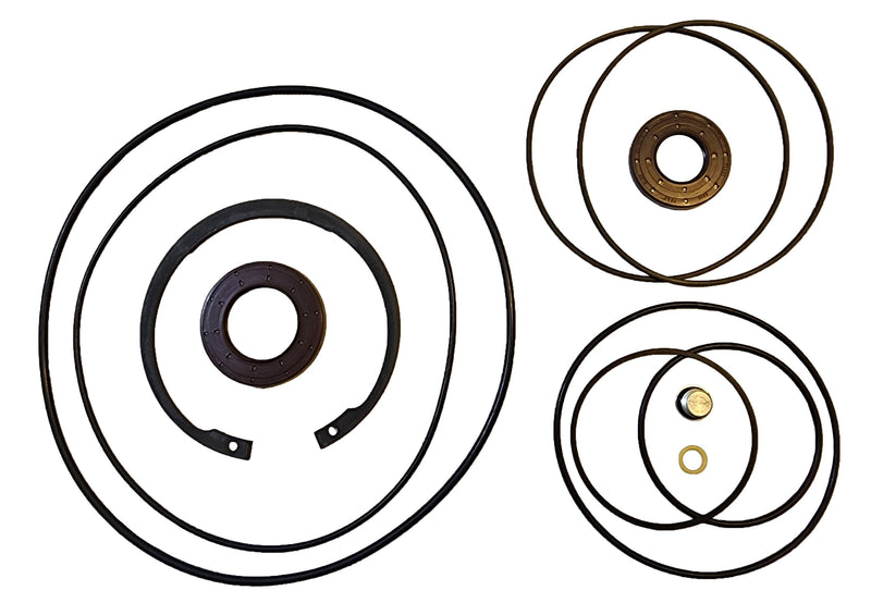 LPS Seal Kit for the Drive Motor to Replace Cat® OEM 455-7977