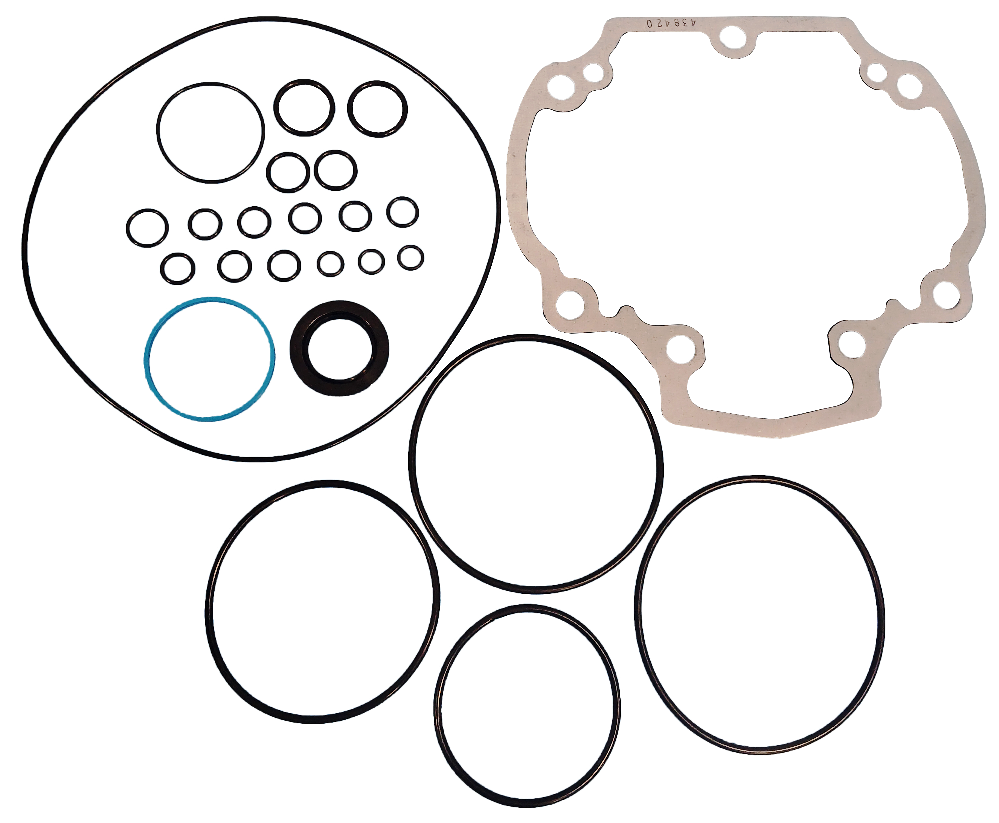LPS Drive Motor Seal Kit to Replace John Deere® OEM AT389734