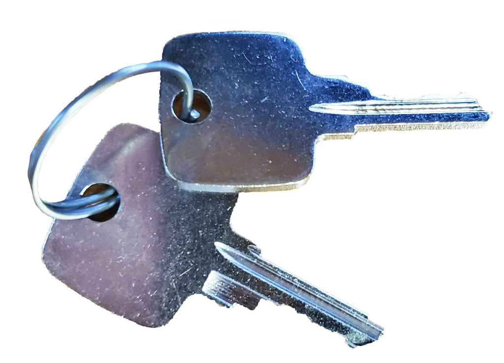 LPS Ignition Switch and Keys to Replace Case/New Holland® OEM 282775A1