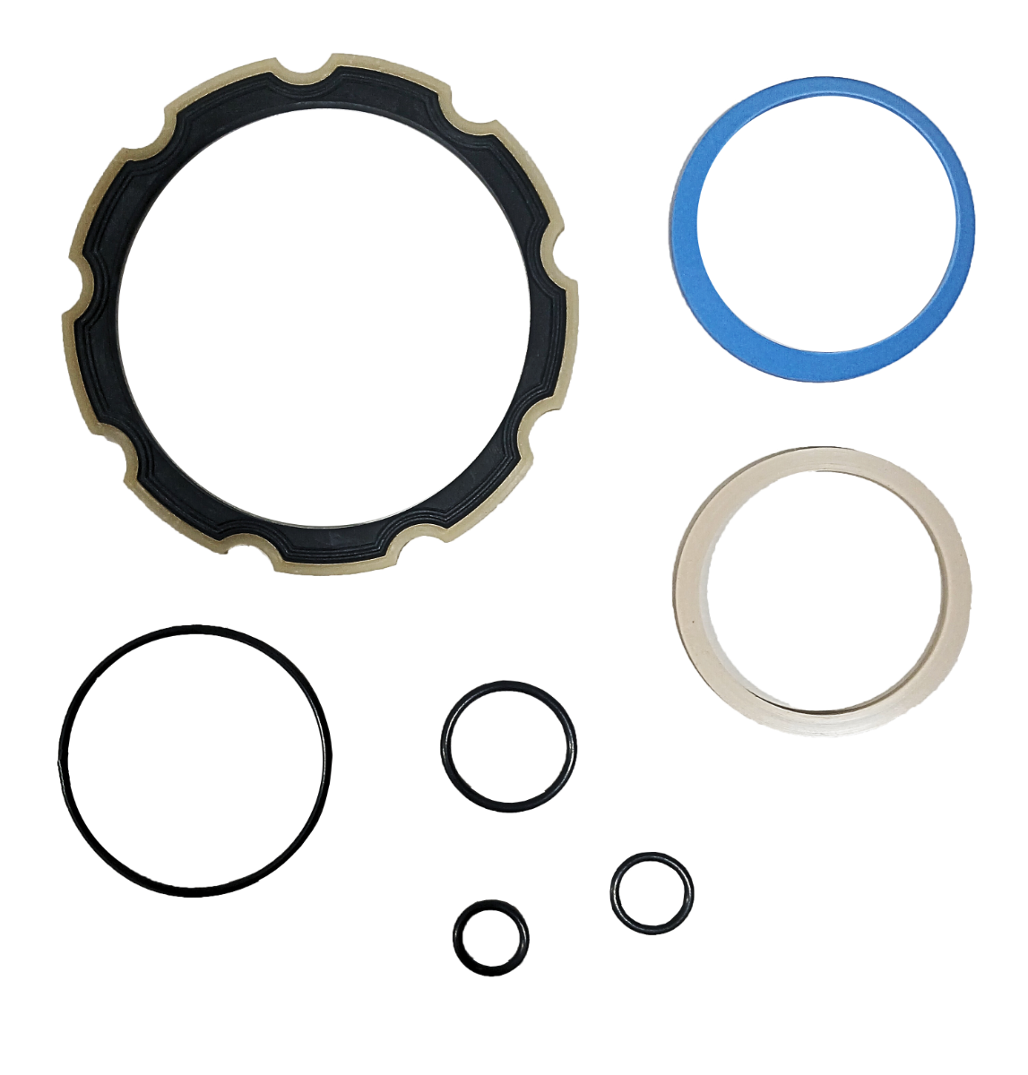 LPS Drive Motor Seal Kit to Replace Case® OEM 402255A1