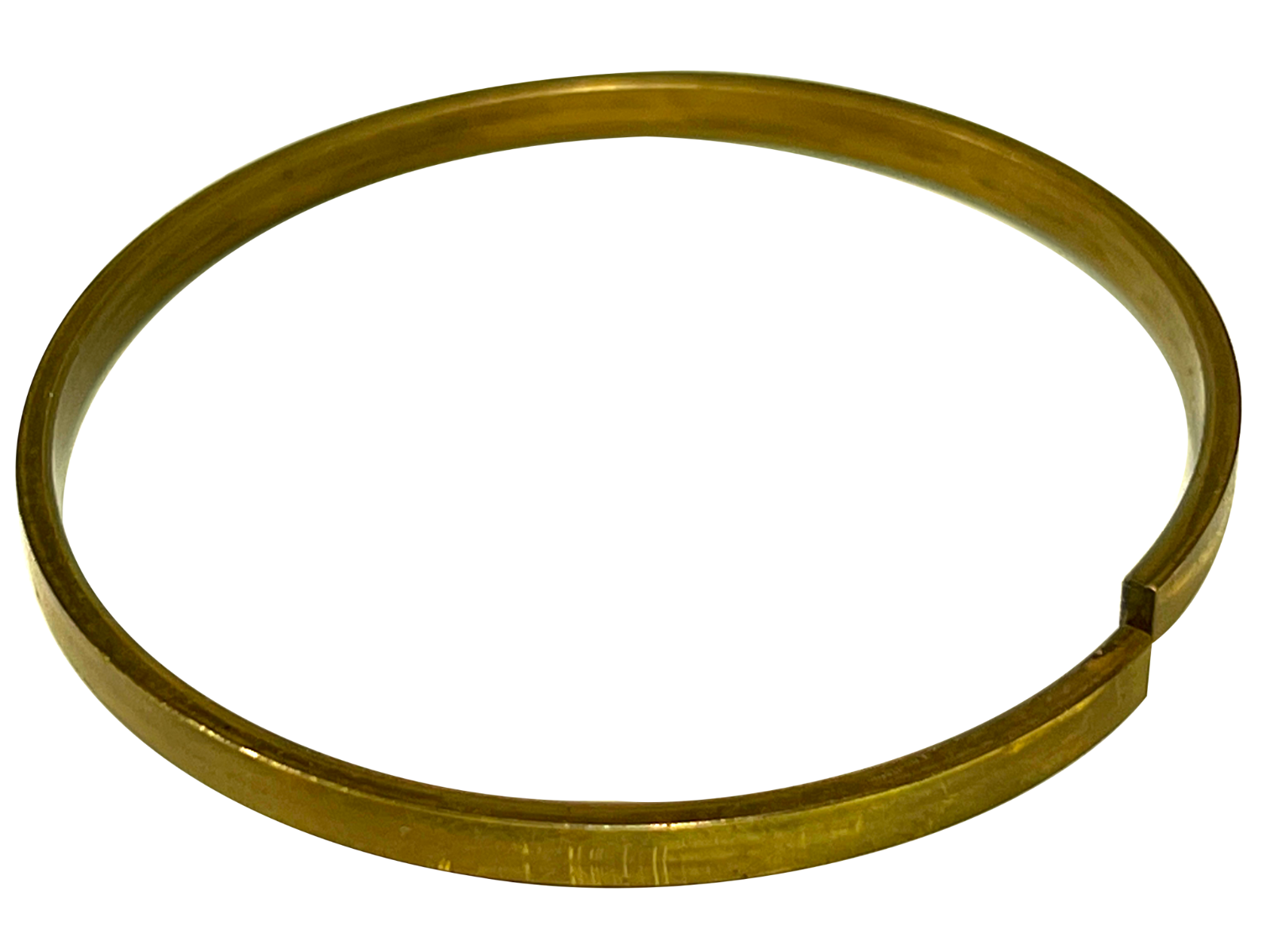 LPS Bearing Ring to Replace Case/New Holland® OEM 100536A1