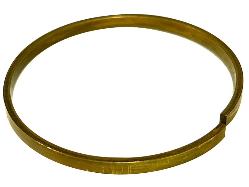 LPS Bearing Ring to Replace Case/New Holland® OEM 100536A1