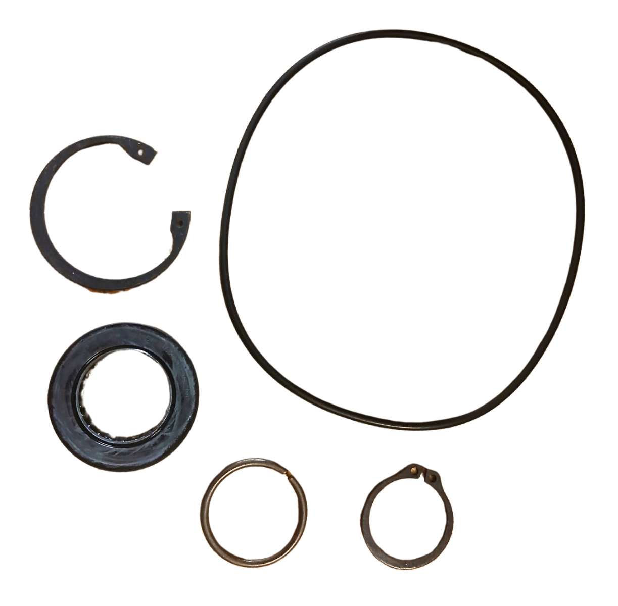 LPS Drive Motor Seal Kit to Replace New Holland® OEM 86508431