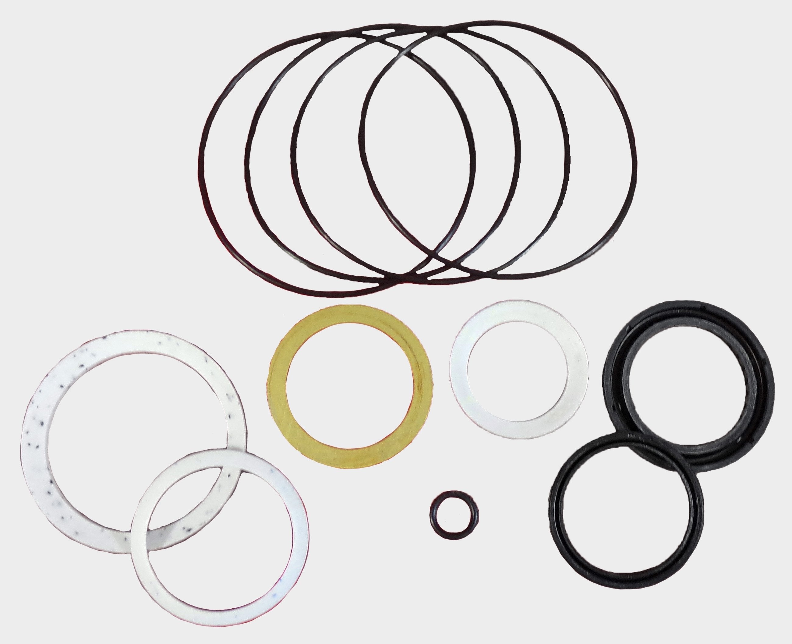 LPS Seal Kit® to Replace ASV® OEM 0304-826