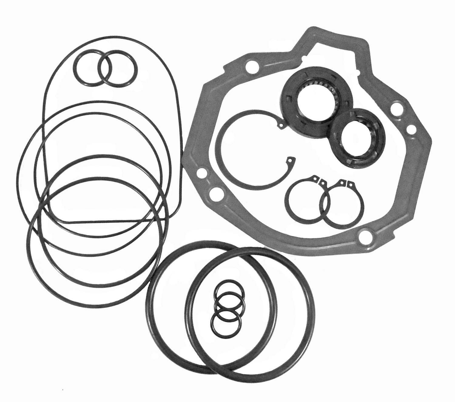 LPS Hydrostatic Drive Pump Seal Kit to Replace Gehl® OEM 190-32866