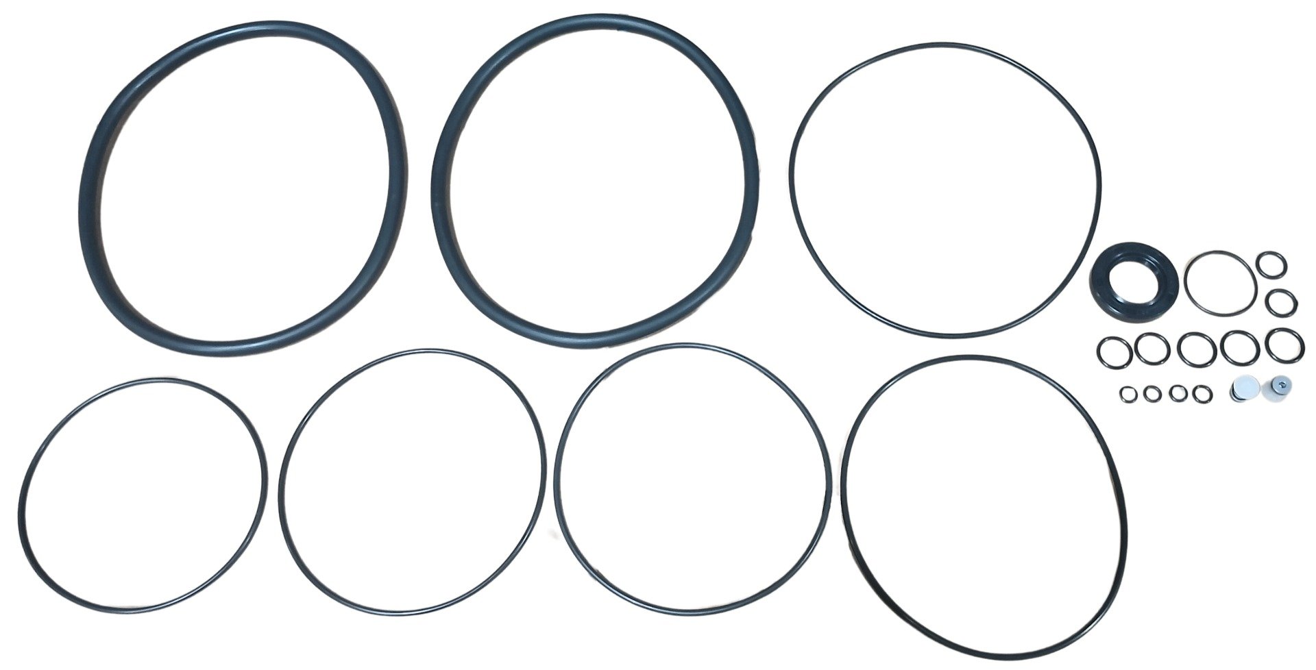 LPS Seal Kit to Replace Case® OEM 87619920