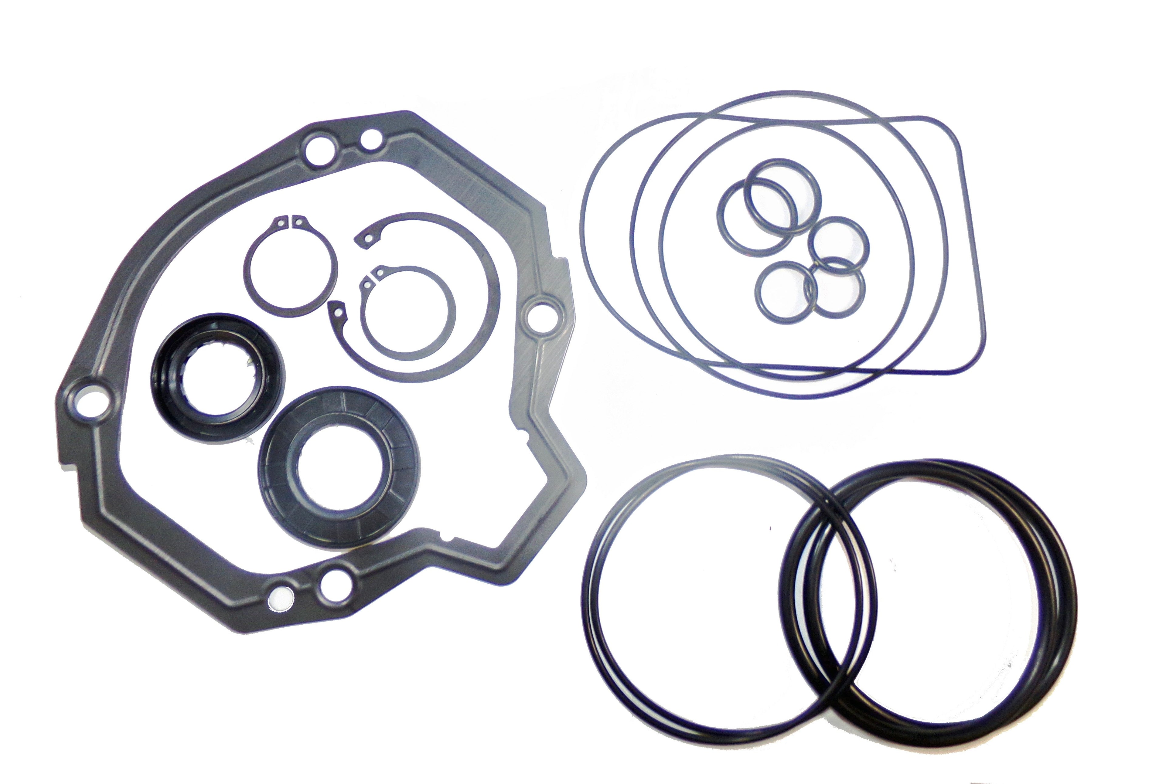 LPS Drive Pump Seal Kit to Replace New Holland® OEM 86589837