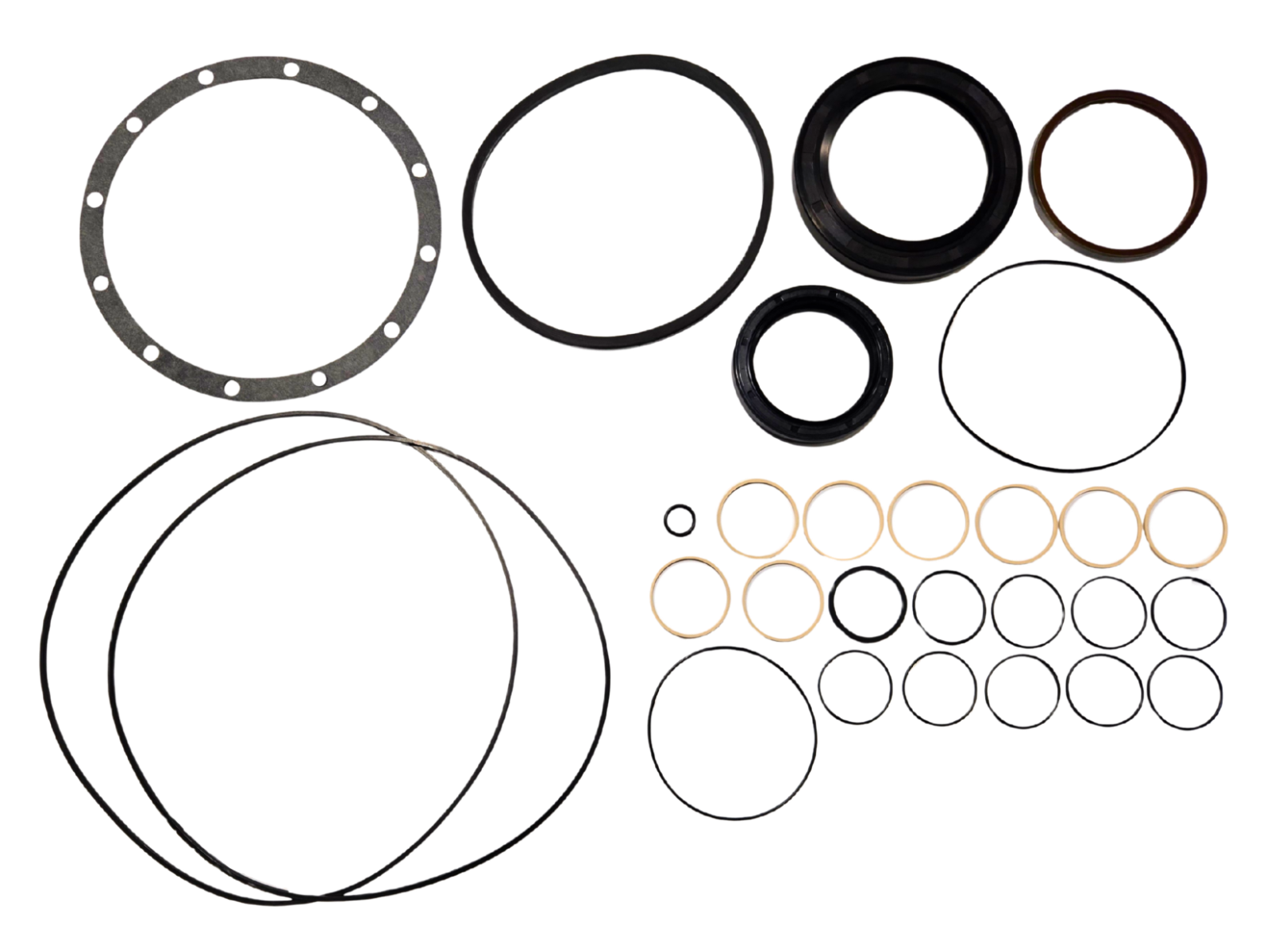 LPS Drive Motor Seal Kit to Replace Case/New Holland® 87039370