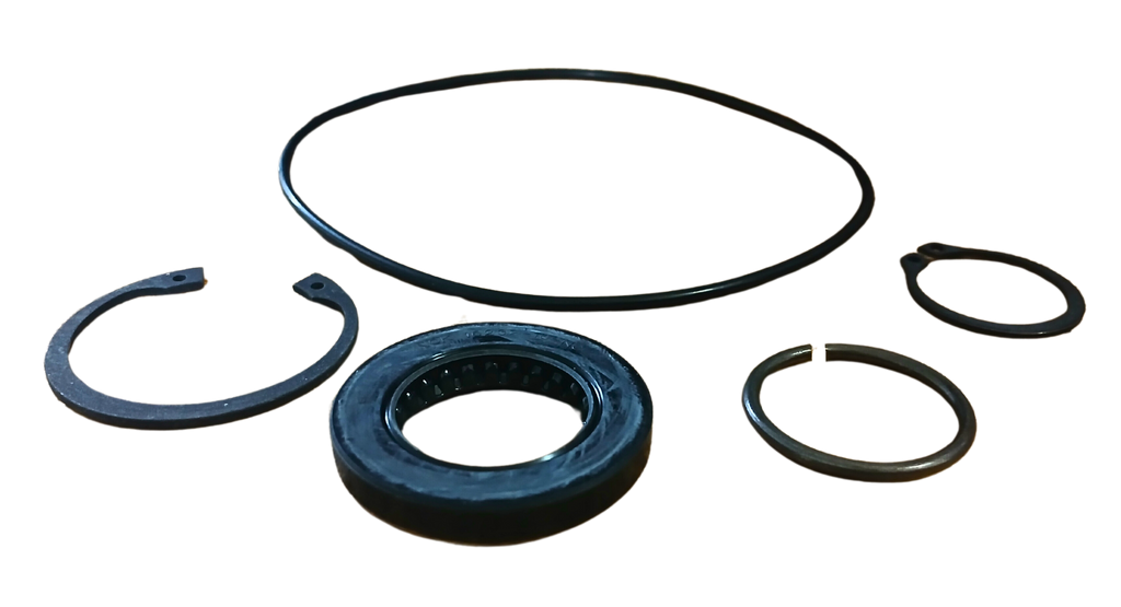 LPS Drive Motor Seal Kit to Replace New Holland® OEM 86508431