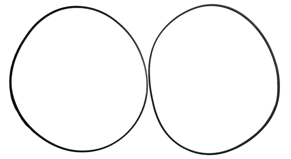 LPS Drive Motor Seal Kit to Replace Case/New Holland® 87039370