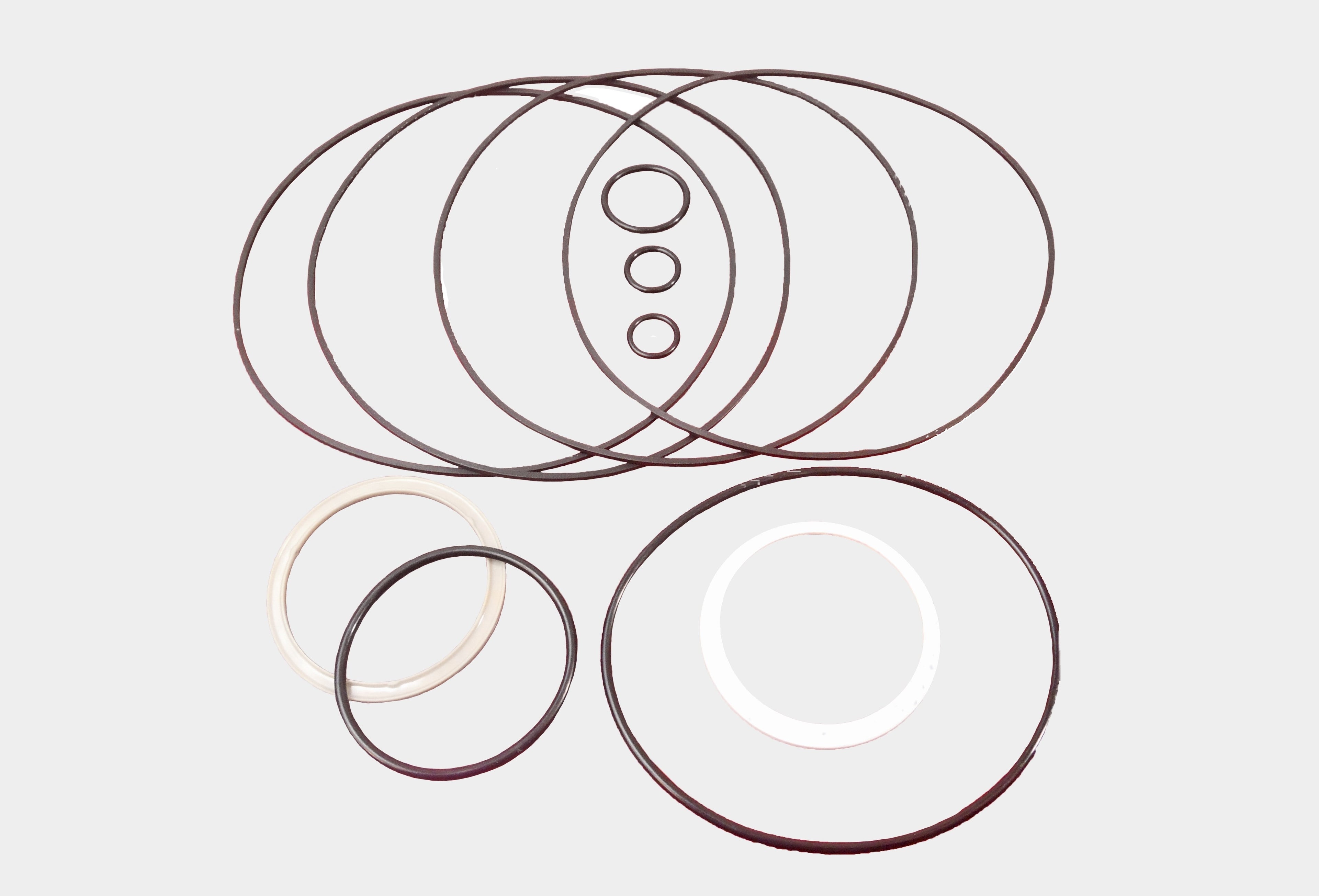 LPS Drive Motor Seal Kit to Replace Case® OEM 87359401