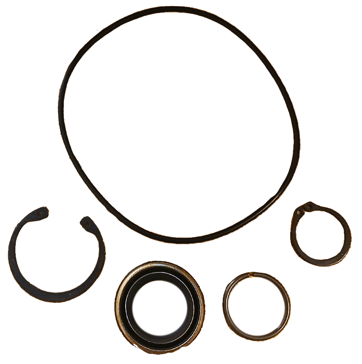 LPS Drive Motor Seal Kit to Replace New Holland® OEM 86508431