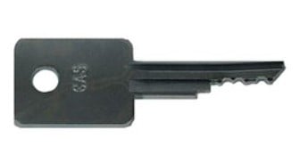 LPS Set of 2 Keys to Replace Case® OEM A77313