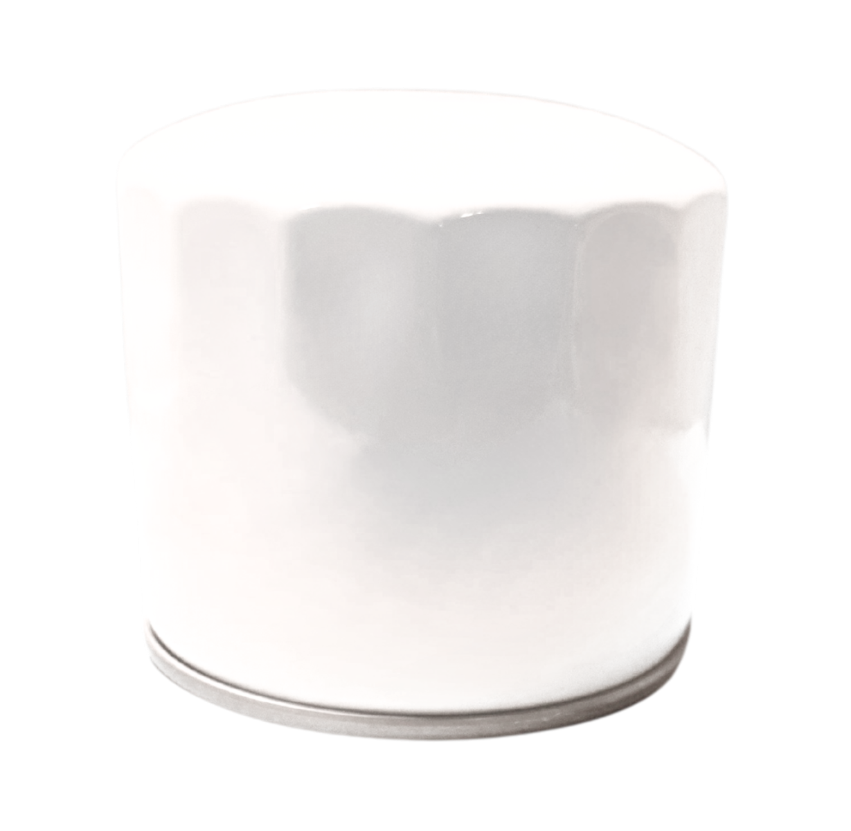 LPS Engine Oil Filter to Replace Bobcat® OEM 6675517