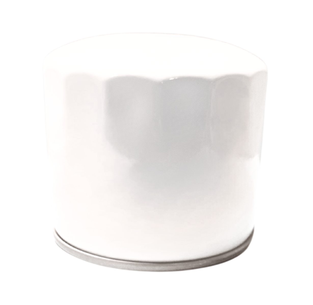 LPS Engine Oil Filter to Replace ASV&#174; OEM 0304-398