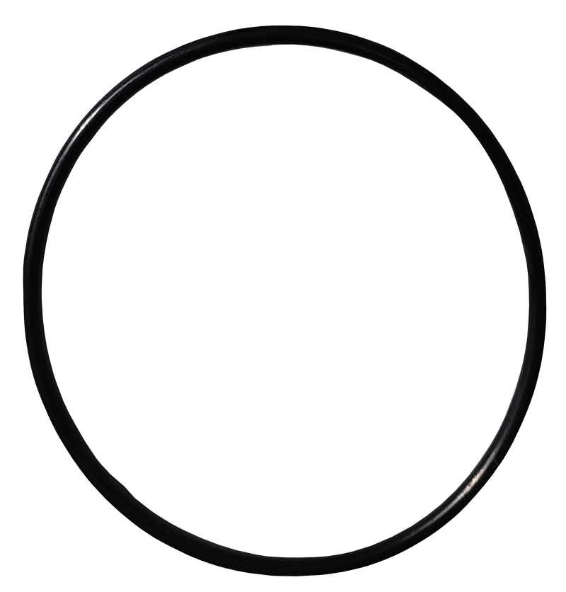 LPS Tandem Drive Pumps O-ring for Replacement on Case® Skid Steer Loaders