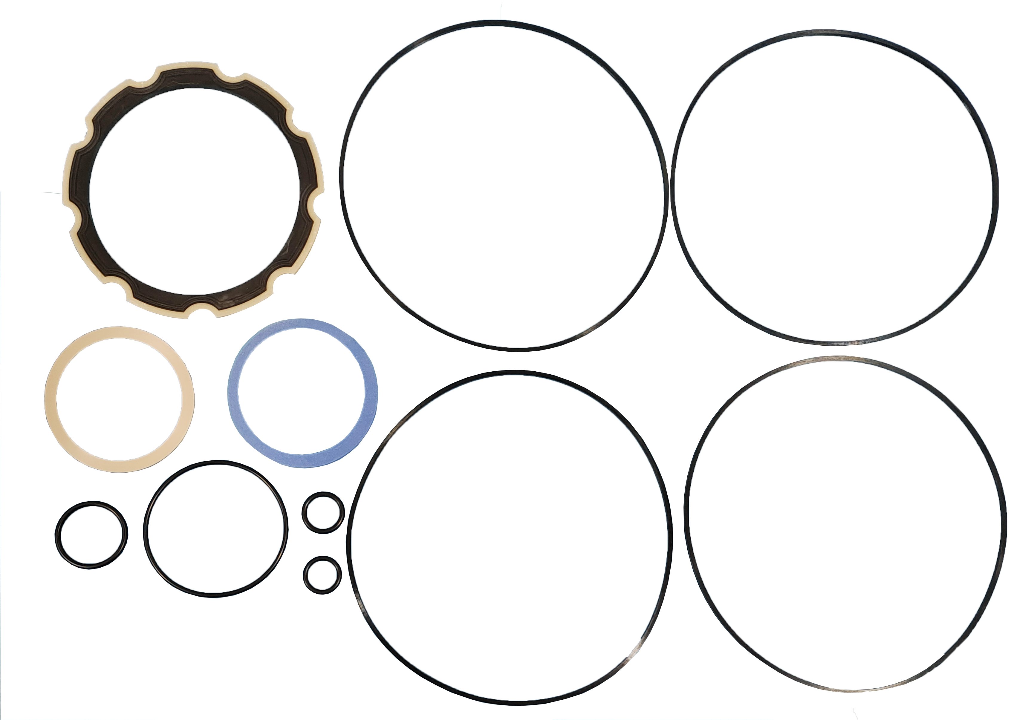 LPS Drive Motor Seal Kit to Replace Case® OEM 402255A1