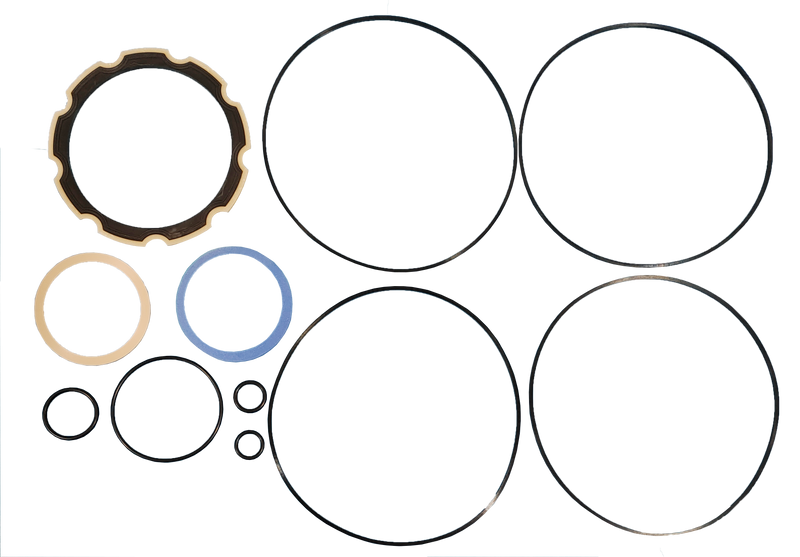 LPS Drive Motor Seal Kit to Replace Case® OEM 402255A1