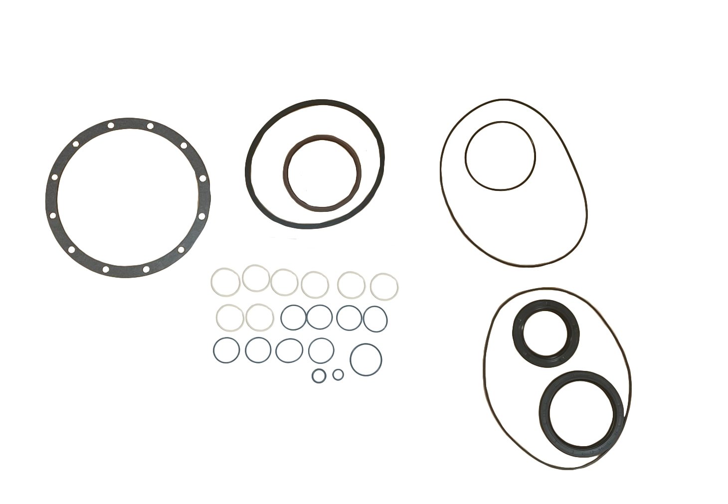 LPS Drive Motor Seal Kit to Replace New Holland® OEM 87039377