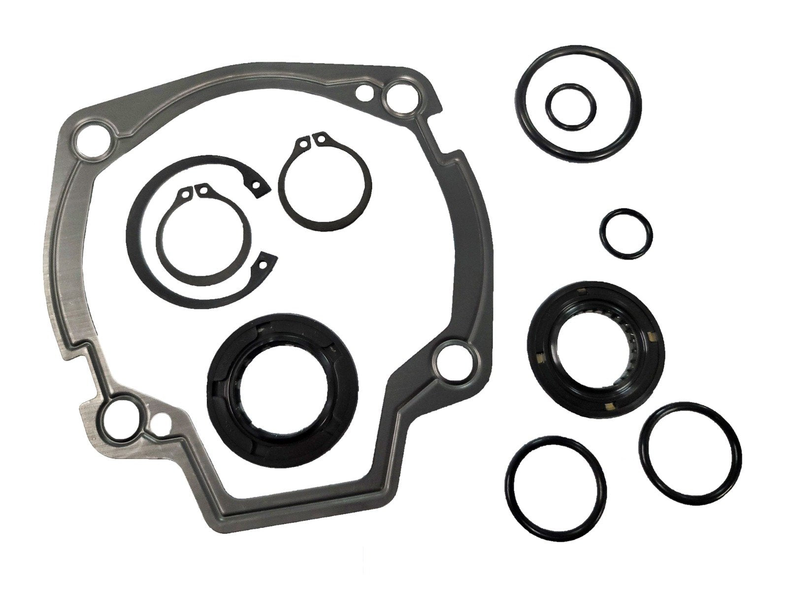 LPS Tandem Drive Pump Seal Kit to Replace New Holland® OEM 277061