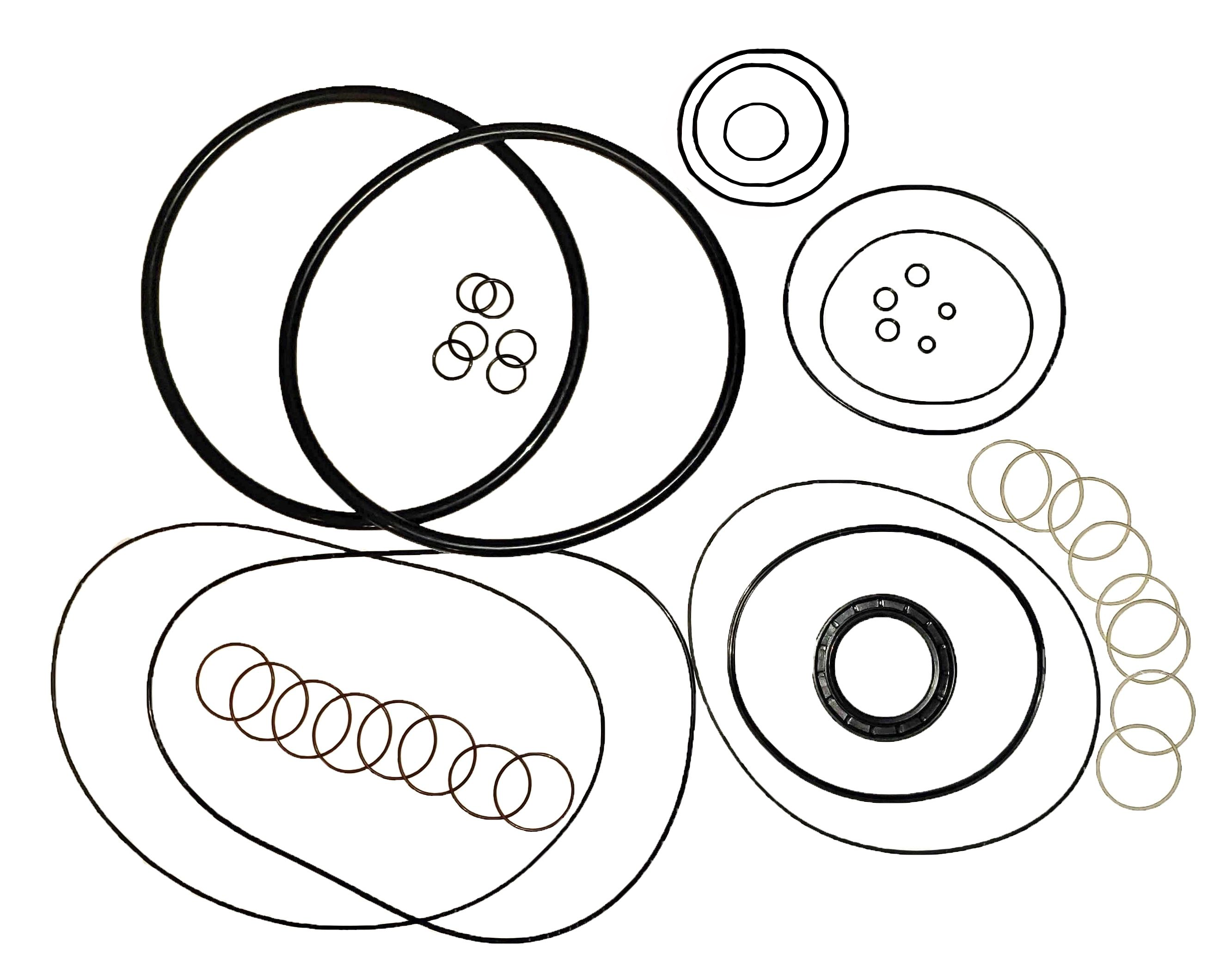LPS Drive Motor Seal Kit to Replace Case/New Holland® 87461859