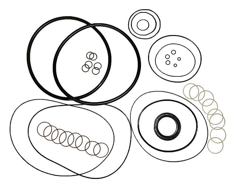 LPS Drive Motor Seal Kit to Replace Case/New Holland® 87461859