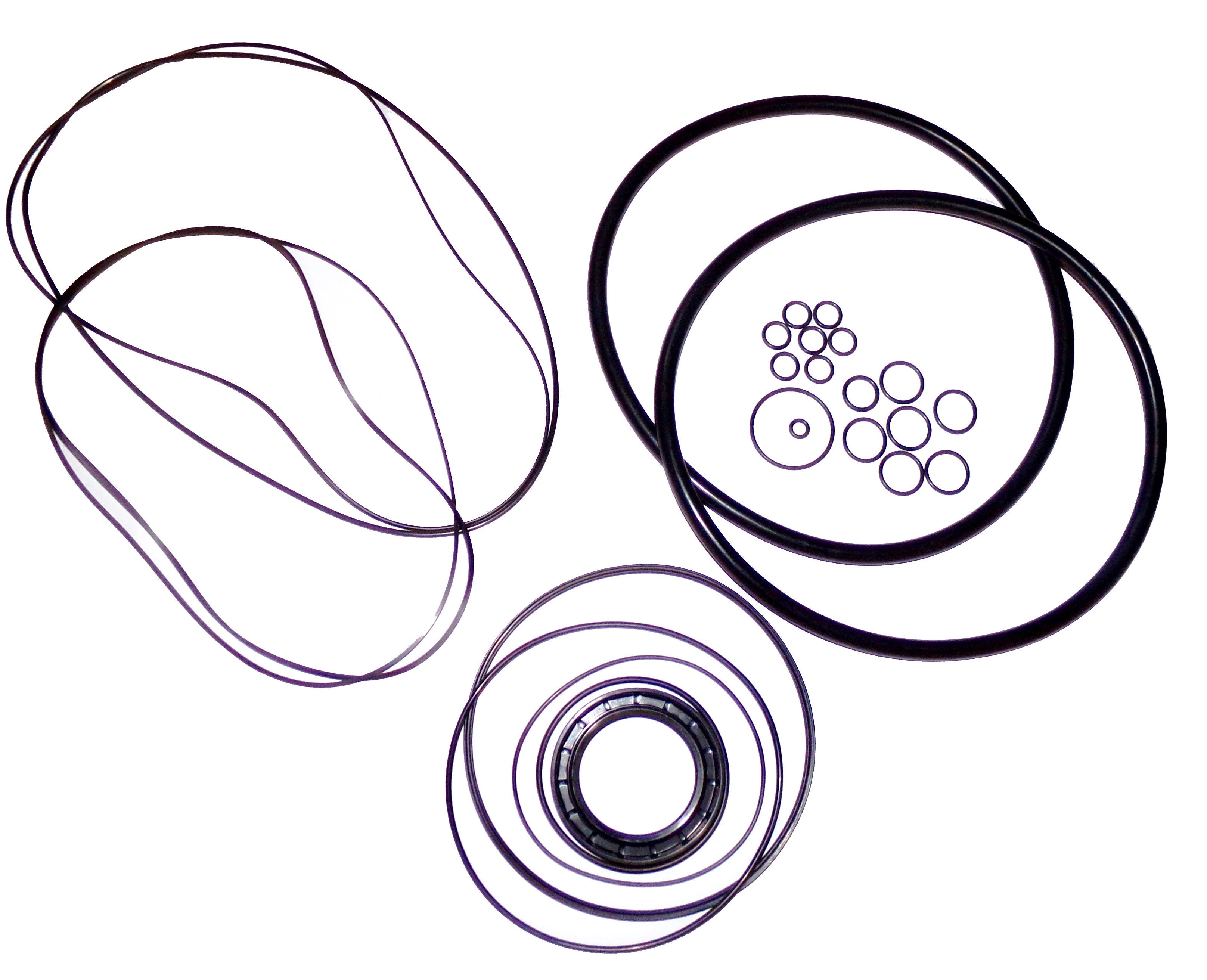 LPS Single Speed Drive Motor Seal Kit to Replace Case® OEM 87383545