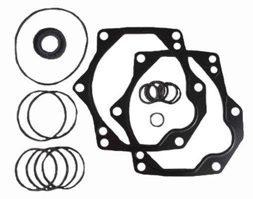 Seal Kit for Replacement on Case® Skid Steer Loaders