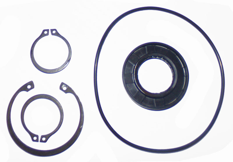 Seal Kit to replace New Holland OEM 279620