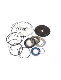 LPS Drive Motor Seal Kit to Replace Gehl® OEM 132655