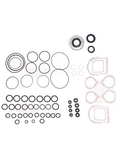 Seal Kit, for the Tandem Pump, to replace Gehl OEM 197164