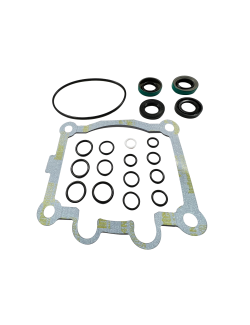 LPS Drive Pump Seal Kit for Replacement on New Holland® Skid Steer Loaders