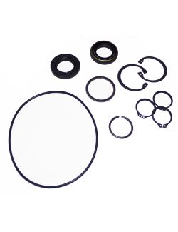 LPS Drive Motor Seal Kit to Replace New Holland® OEM 277917