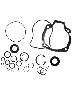 Seal Kit, for the Hydrostatic Pump, to replace Bobcat OEM 6598896