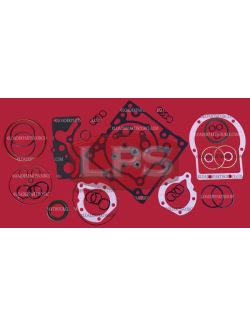 LPS Overhaul Seal Kit for Replacement on Mustang®