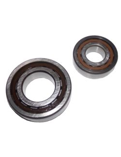LPS Drive Motor Bearing Kit to Replace New Holland® OEM 87619918