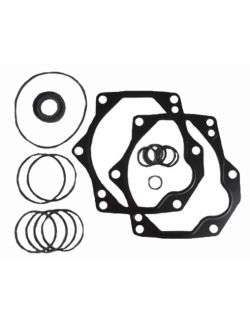 Seal Kit for the Tandem Drive Pump to replace Scat Trak OEM 8032132