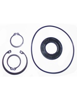Seal Kit to replace New Holland OEM 279620