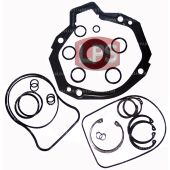LPS Drive Pump Seal Kit to Replace Case® OEM D73637