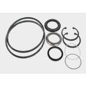 LPS Hydraulic Drive Motor Seal Kit to Replace Case® OEM N6972