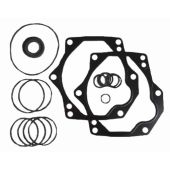 Seal Kit for the Tandem Drive Pump to replace Scat Trak OEM 8032132